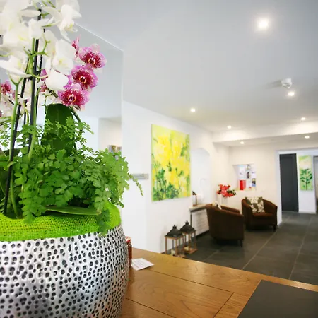 كولينيتا أسكونا