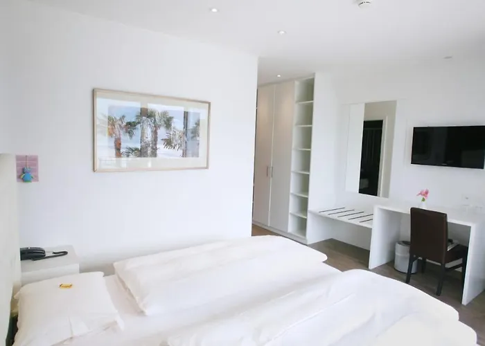 Collinetta Hotel Ascona