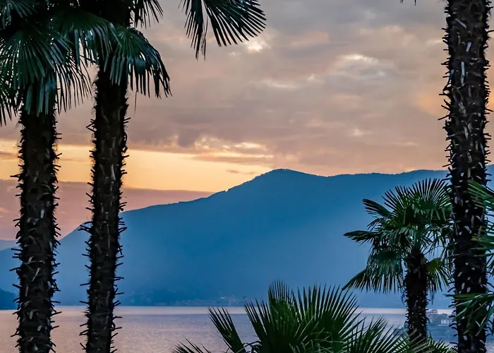 كولينيتا فندق 3*