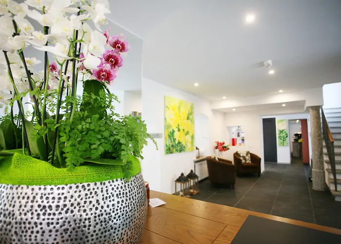 Collinetta 아스꼬나