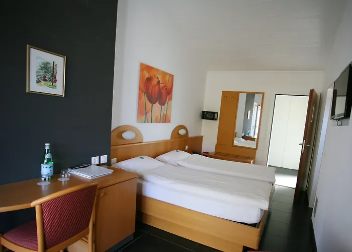 كولينيتا أسكونا