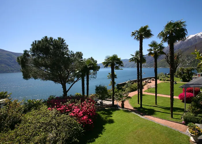 كولينيتا أسكونا