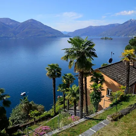 Collinetta Ascona