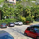 Collinetta Ascona